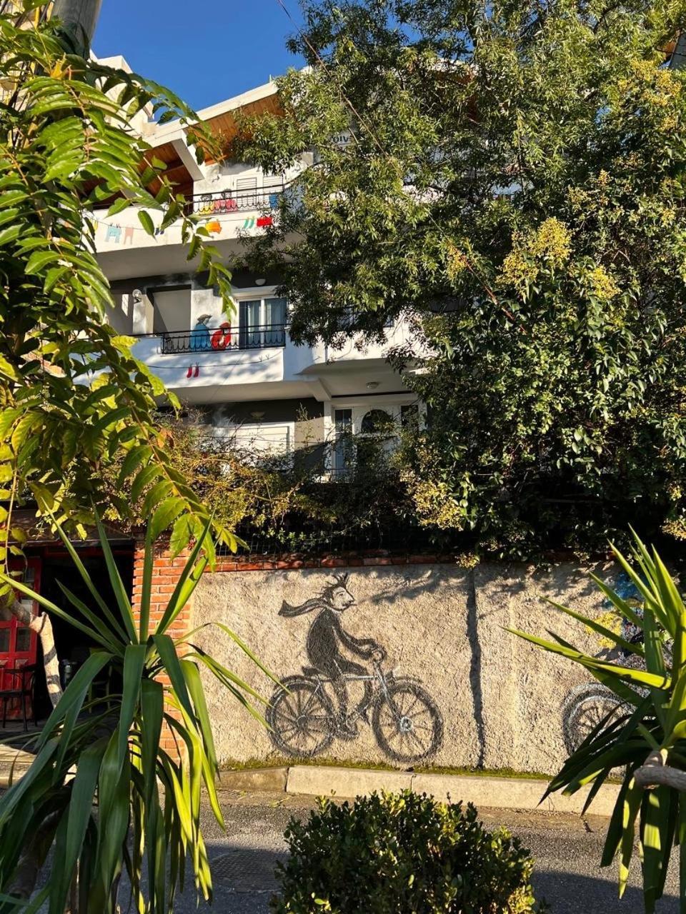 Divina Hostel Tiran Dış mekan fotoğraf