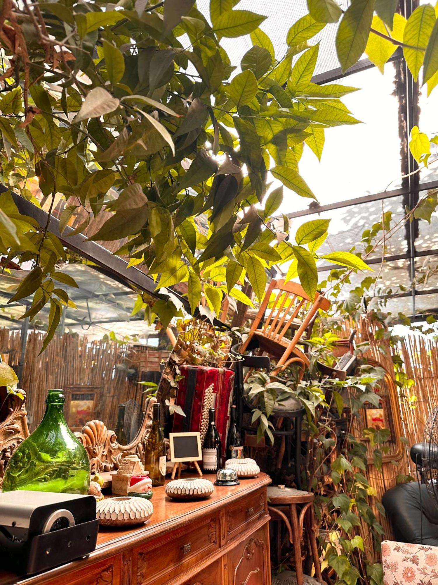 Divina Hostel Tiran Dış mekan fotoğraf